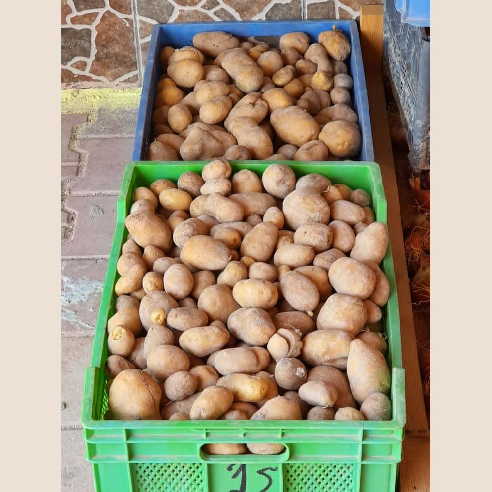 ORGANİK SERTIFIKALI PATATES 5 kg