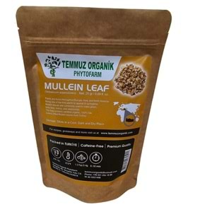 SIĞIR KUYRUĞU 25 GR